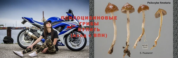 амф Белокуриха