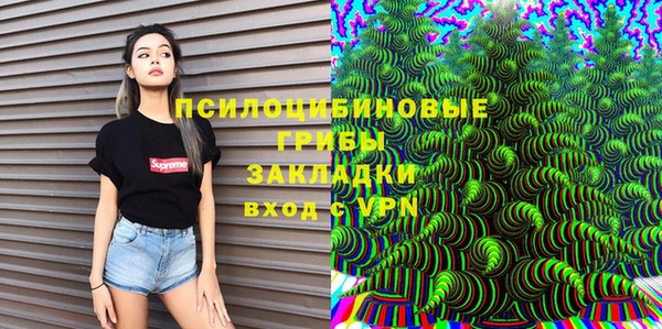 амф Белокуриха