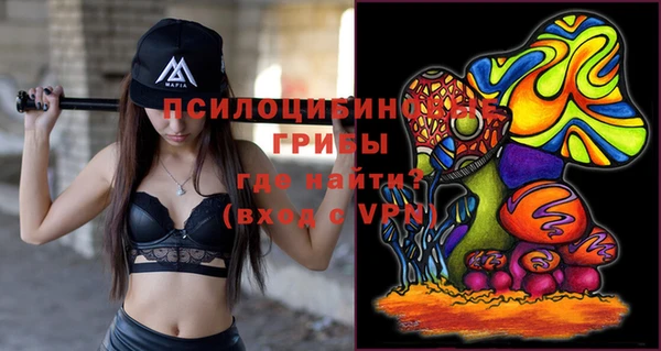 амф Белокуриха