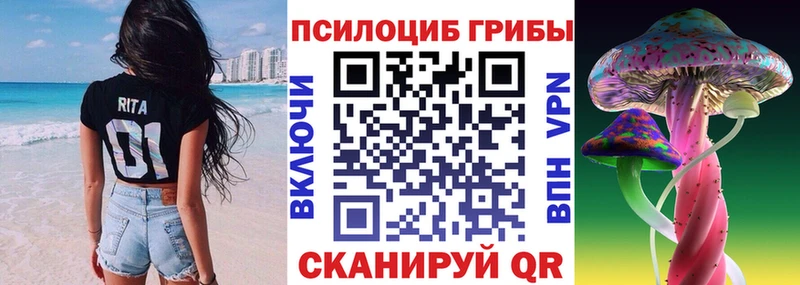 где найти   Кулебаки  Галлюциногенные грибы Magic Shrooms 